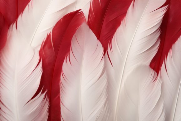 Exploring Feathers Digital Paper: A Versatile and Stylish Design Option