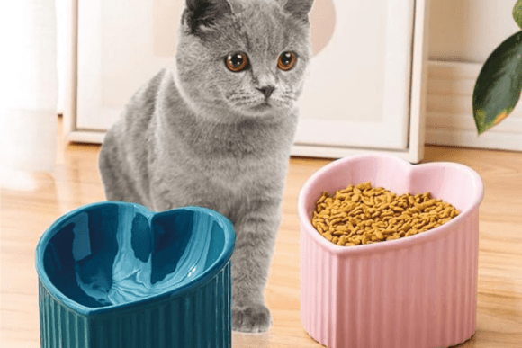 Heart Shaped Pet Bowl: A Strategic Addition to Your Pet’s Dining Experience